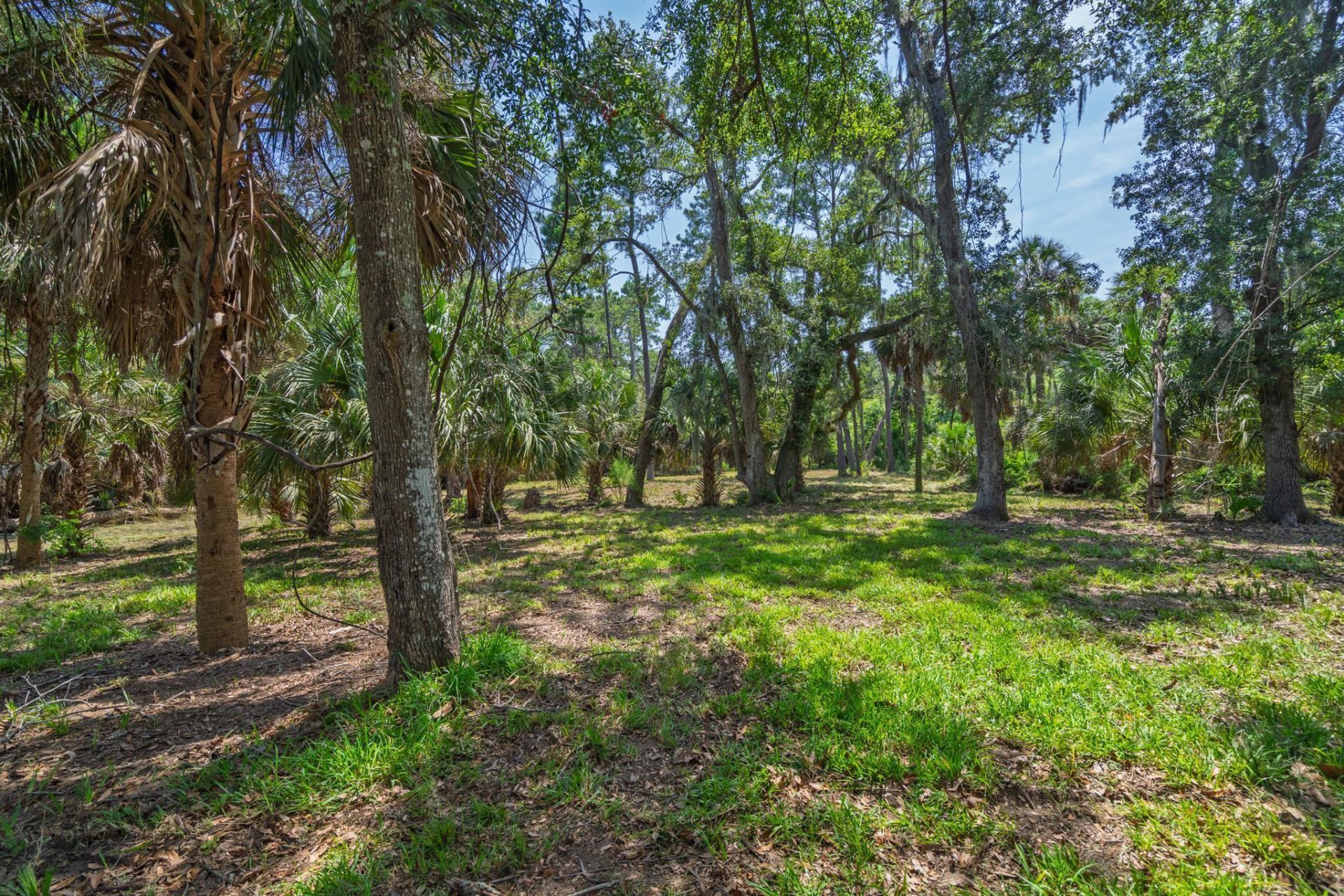 0 Palmetto Road Photo 5