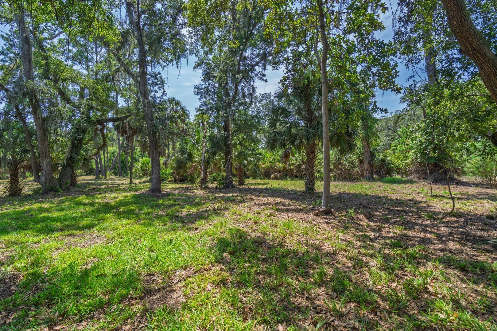 0 Palmetto Road Photo 6