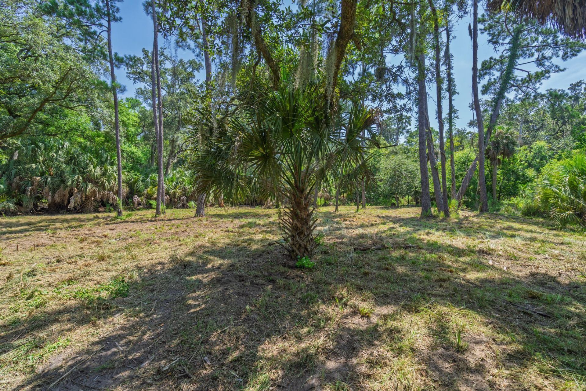 0 Palmetto Road Photo 7