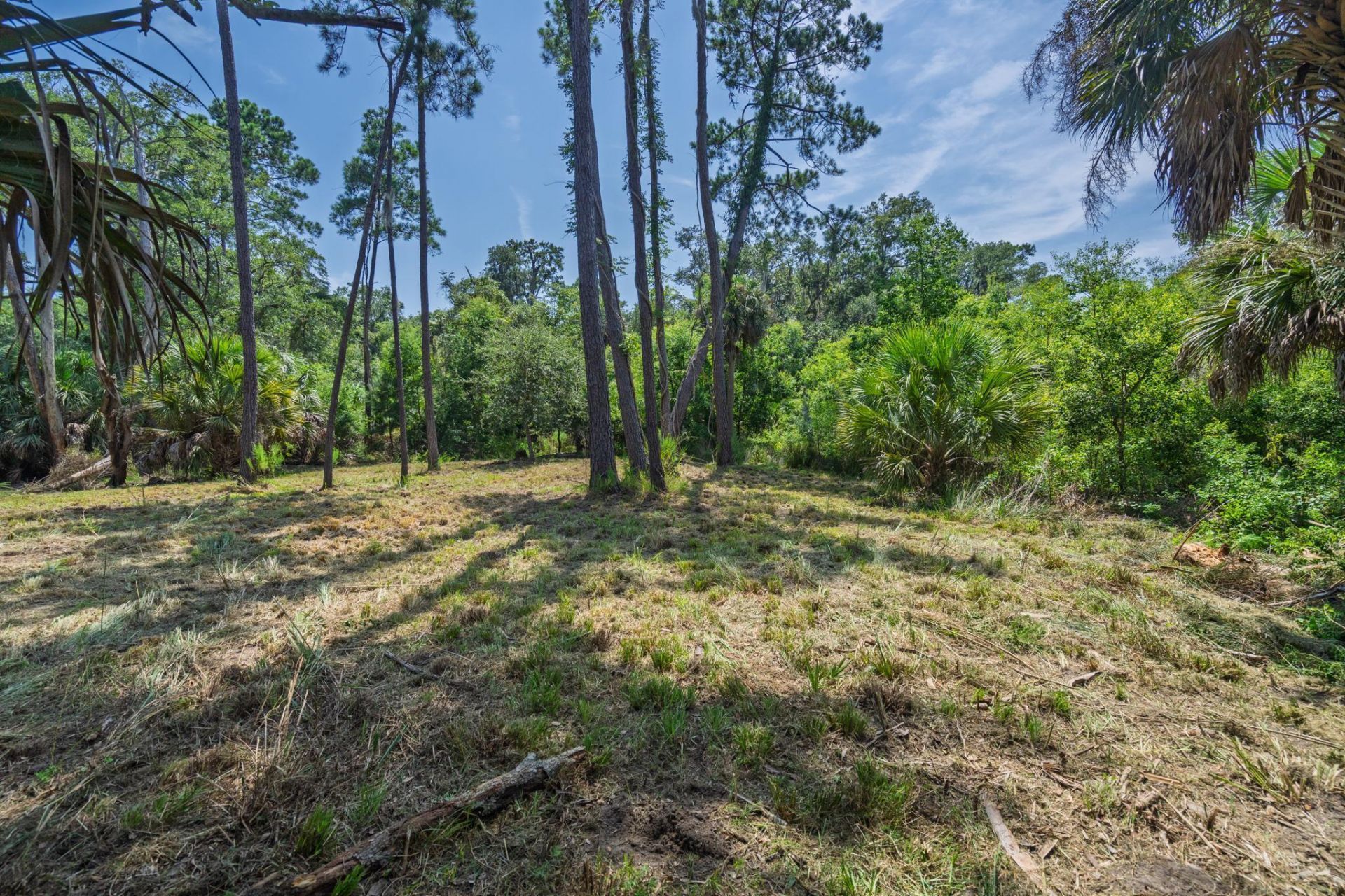 0 Palmetto Road Photo 8