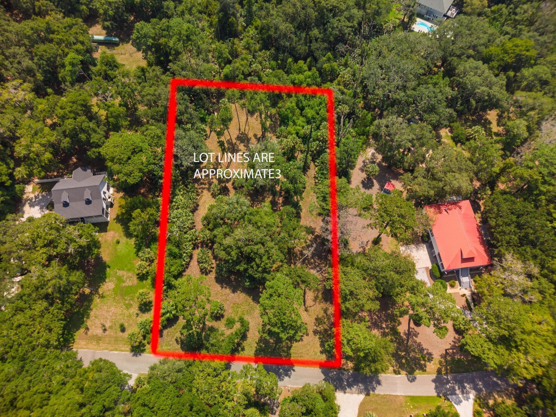 0 Palmetto Road Photo 9