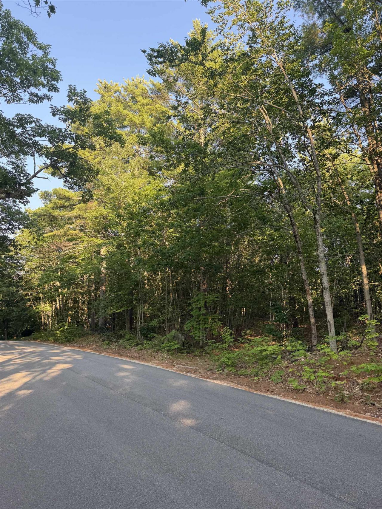 0 Canal Road, Lot #Map 157 Lot 16, Wakefield, NH 03872 Main Photo