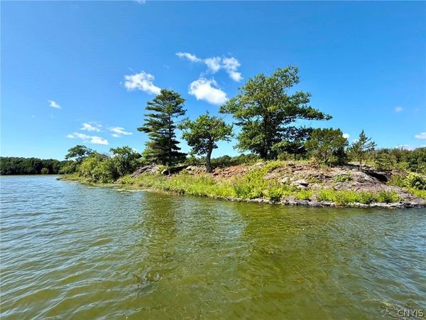0 Snake Island , Morristown, NY 13664