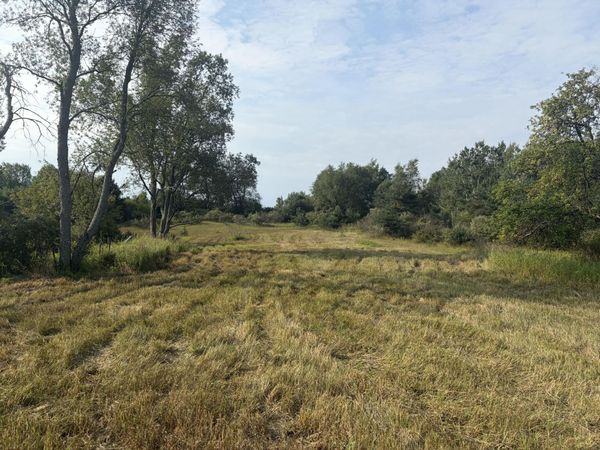 23169 1 Mile Road, Reed City, MI 49677