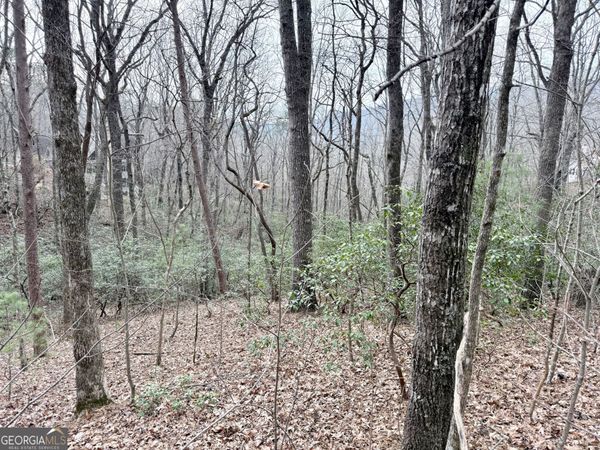 0 Monarch Lane, Clayton, GA 30525