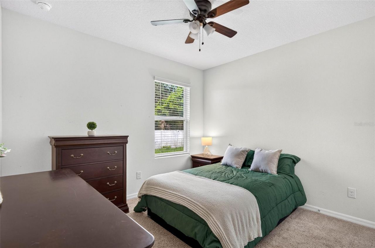35900 Hillbrook Avenue , Zephyrhills, FL 33541 Photo