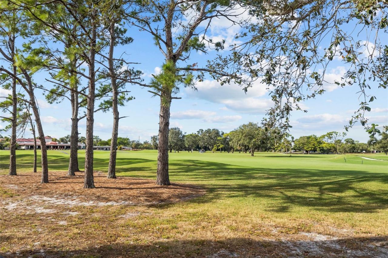 433 Whitfield Avenue , Sarasota, FL 34243 Photo