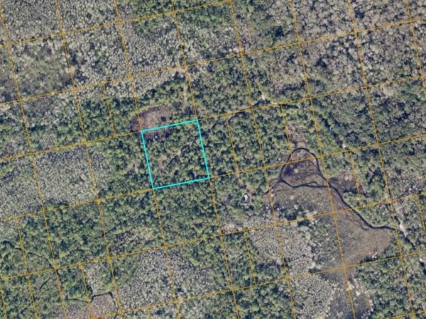 NO STREET , OAK HILL, FL 32759