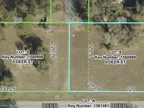 lot 8 DEER STREET , SPRING HILL, FL 34608