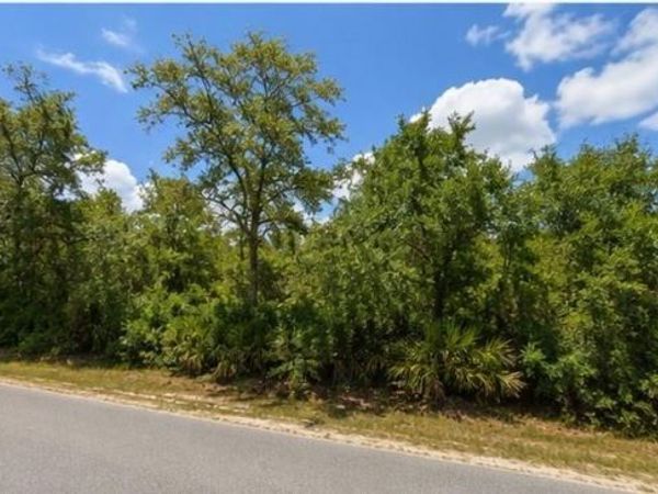 00 COUNTRY ROAD , EUSTIS, FL 32726