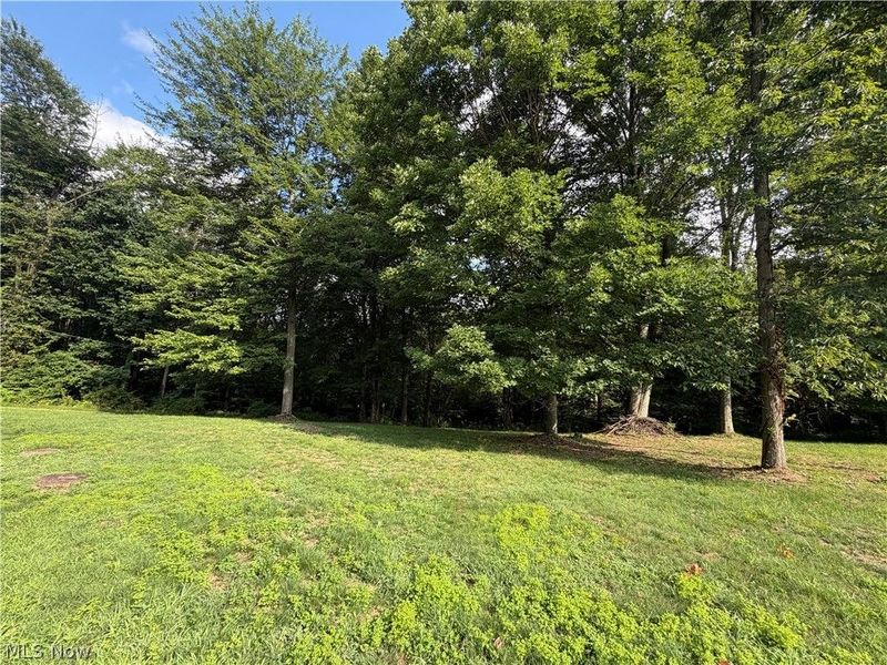 1080 Lumen Road NW, Minerva, OH 44657 Photo 5