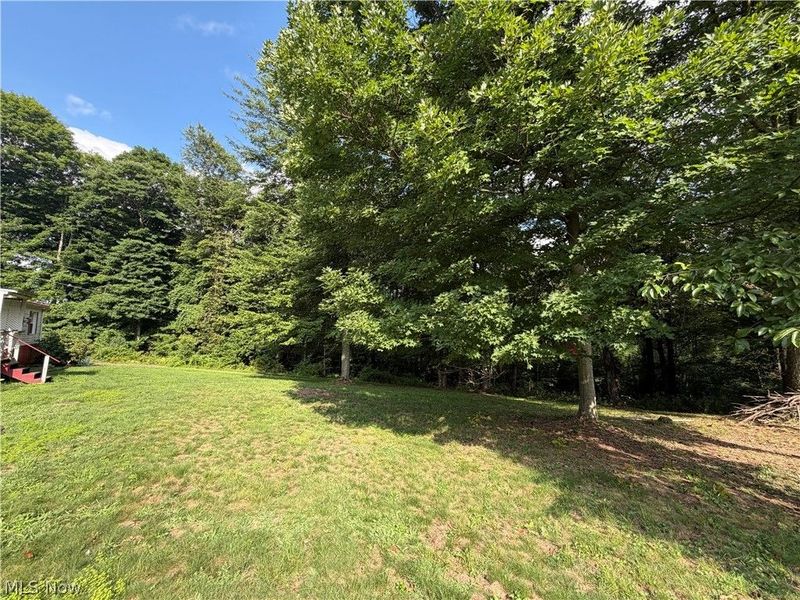 1080 Lumen Road NW, Minerva, OH 44657 Photo 6