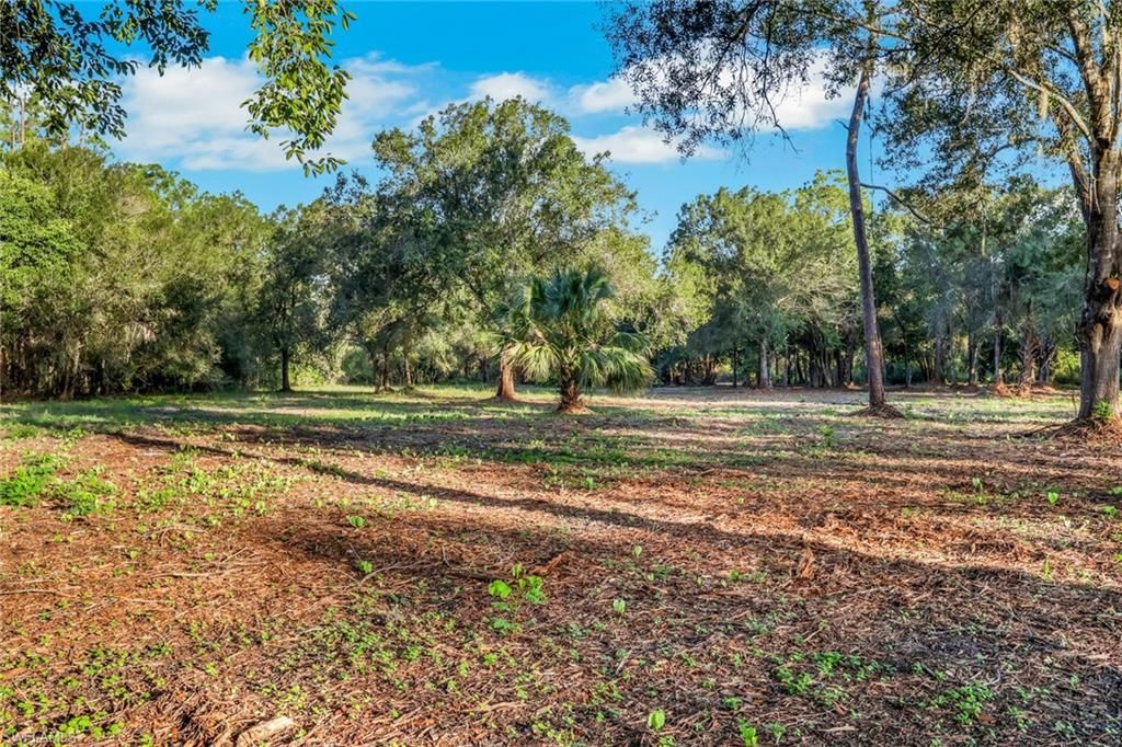 6700 Louella Dr , Fort Myers, FL 33905 Photo