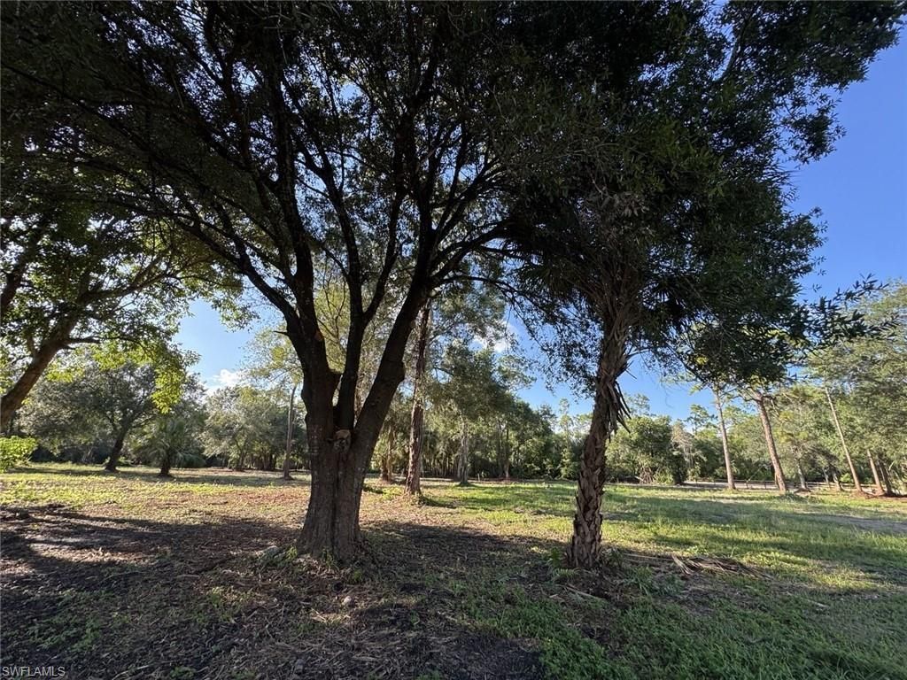 6700 Louella Dr , Fort Myers, FL 33905 Photo