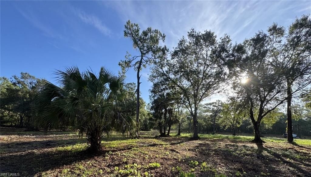 6700 Louella Dr , Fort Myers, FL 33905 Photo