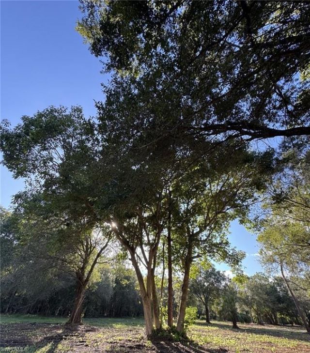 6700 Louella Dr , Fort Myers, FL 33905 Photo