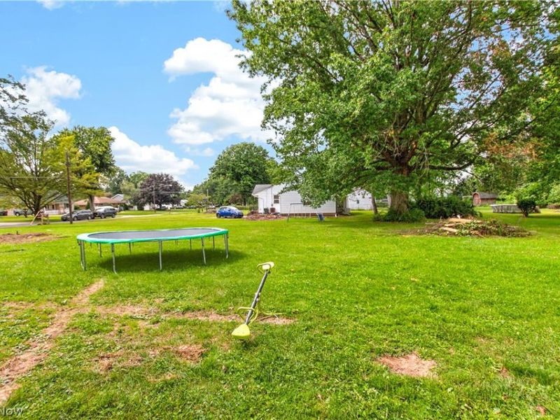 39422 Chestnut Ridge Road, Elyria, OH 44035 Photo 36