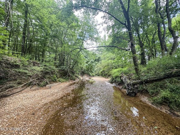 Pine Lodge Road Road, Batesville, MS 38606