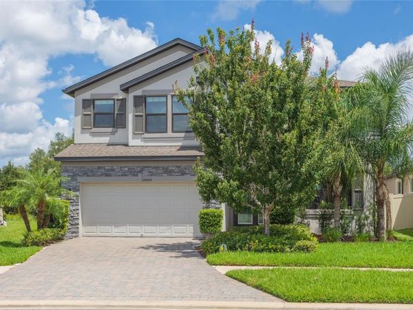 19457 REDWOOD POINT DRIVE , TAMPA, FL 33647