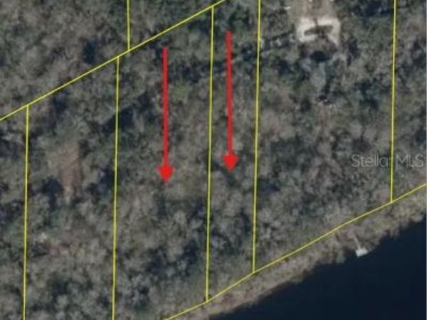 893 NE 930 STREET , CROSS CITY, FL 32628