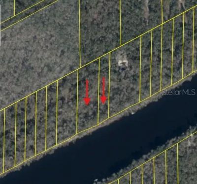 893 NE 930 Street , Cross City, FL 32628 Photo