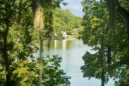 759 Lake Frances Drive photo 4