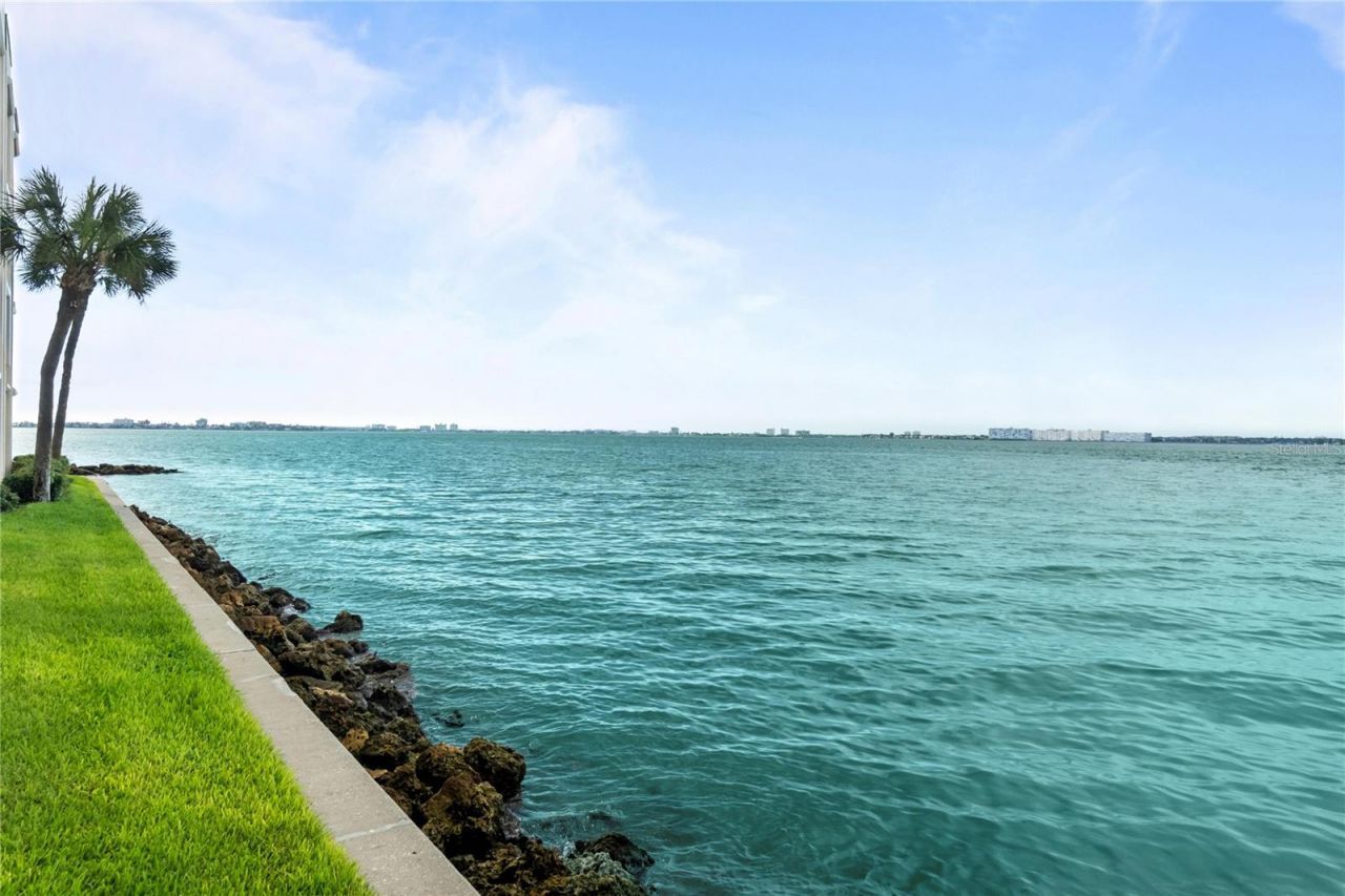 5505 La Puerta Del Sol Boulevard S, Unit 126, Saint Petersburg, FL 33715 Photo