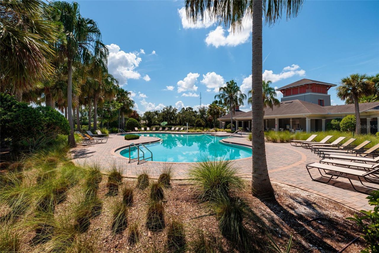 36077 Stable Wilk Avenue, Zephyrhills, FL 33541 Photo