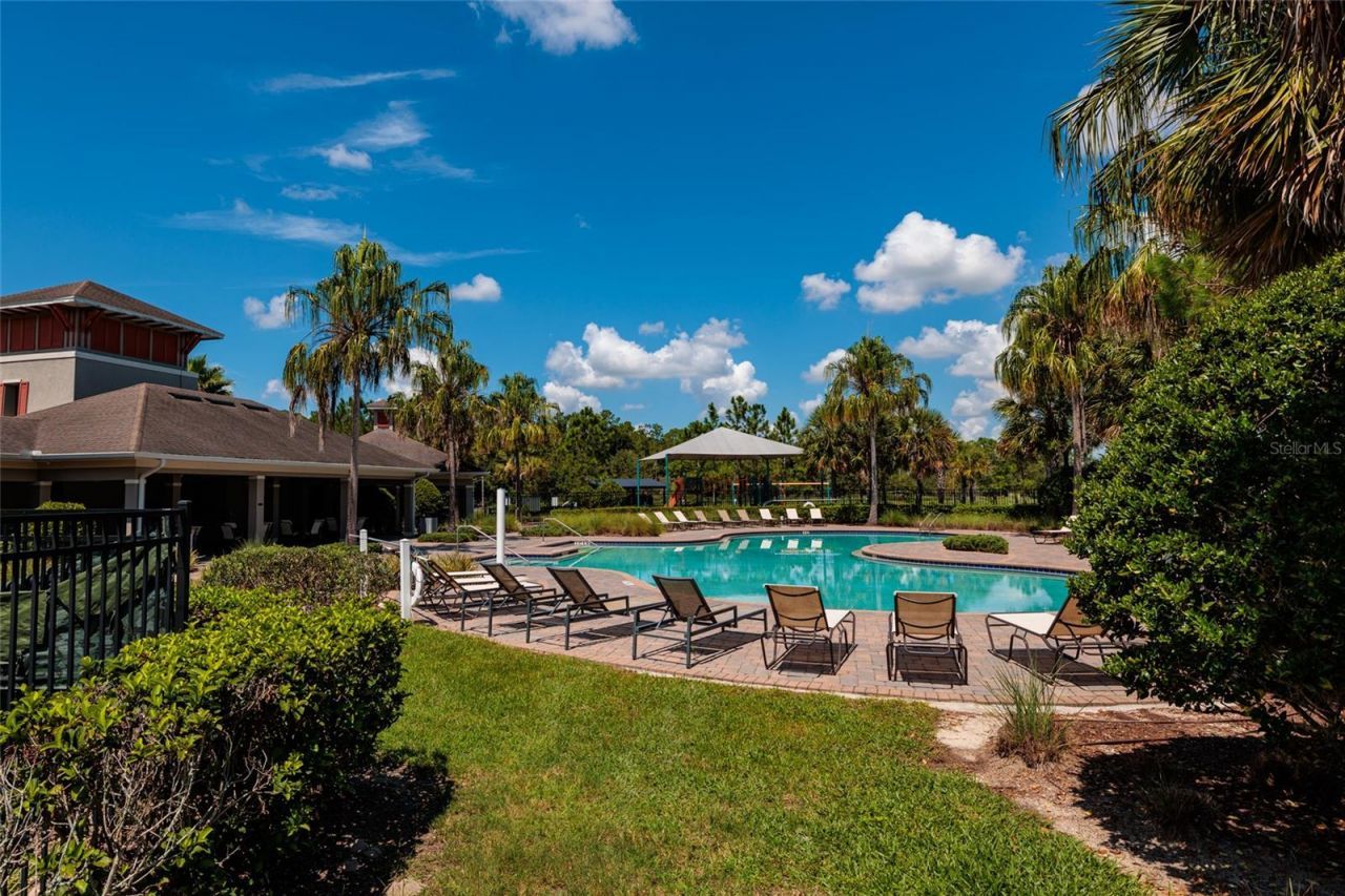 36077 Stable Wilk Avenue, Zephyrhills, FL 33541 Photo