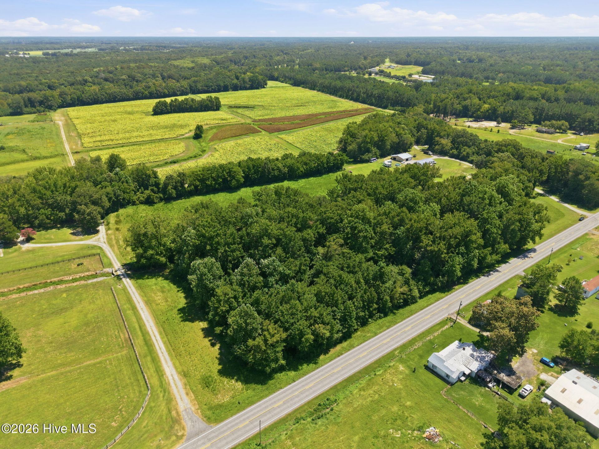 0 N Carolina 43, Macclesfield, NC 27852 Main Photo