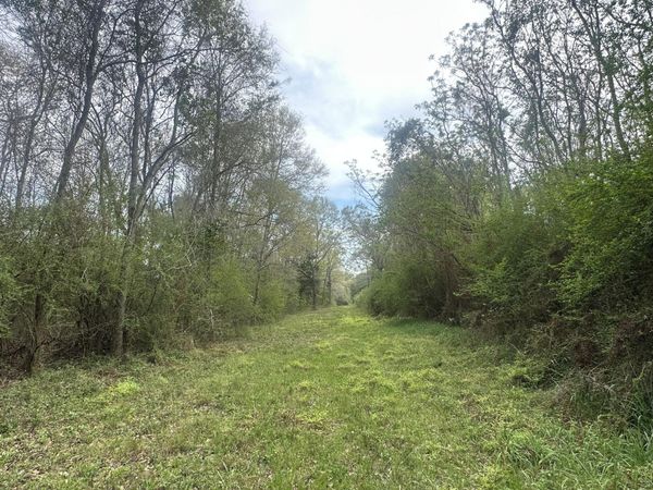 10+/- AC Vinson Ray Road, Baker, FL 32531