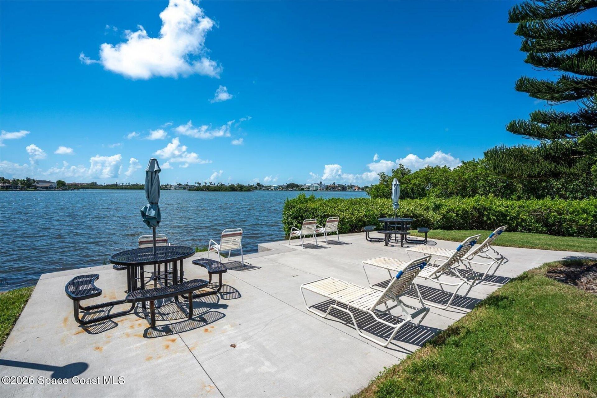 12760 Indian Rocks Road, Unit 803, Largo, FL 33773 Photo