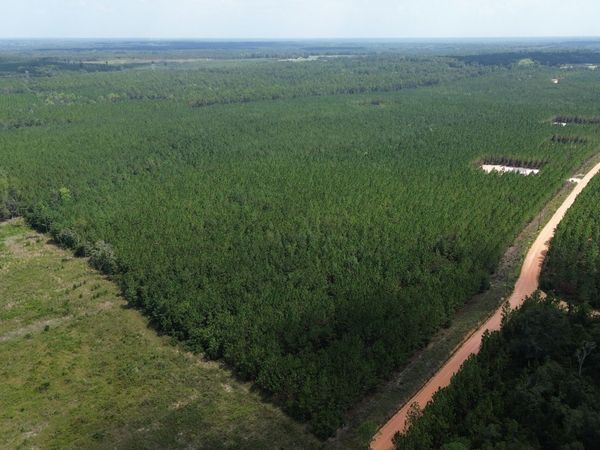 TRACT 1 Penny Morris Road, Baxley, GA 31513