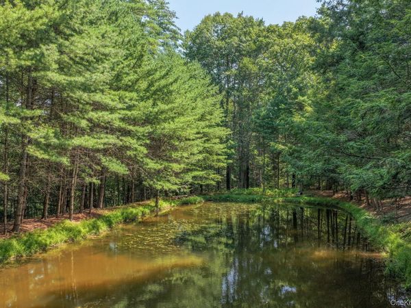 Lot 55.1 Swanerbury Road , Glen Spey, NY 12737