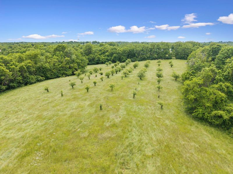 0 Lockmier 57+/- Acres Road, Augusta, KY 41002 Photo 1