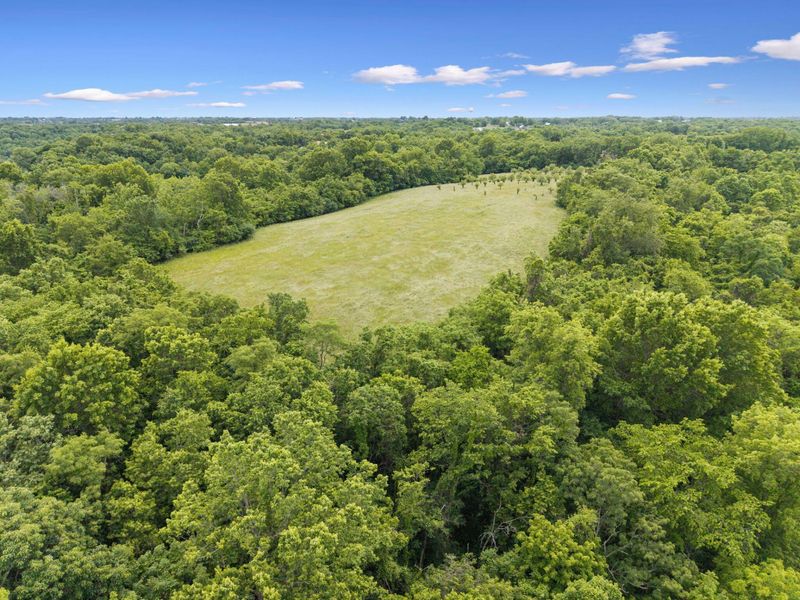 0 Lockmier 57+/- Acres Road, Augusta, KY 41002 Photo 2