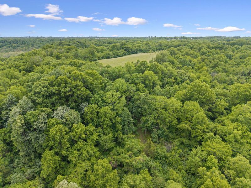 0 Lockmier 57+/- Acres Road, Augusta, KY 41002 Photo 3