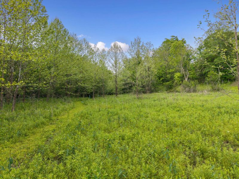 0 Lockmier 57+/- Acres Road, Augusta, KY 41002 Photo 4