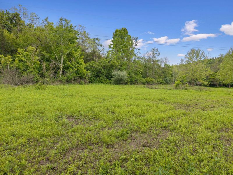 0 Lockmier 57+/- Acres Road, Augusta, KY 41002 Photo 5