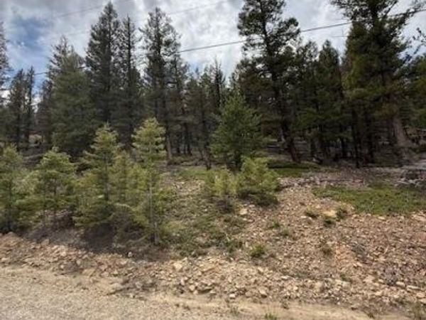 2689 Redhill Road , Fairplay, CO 80440