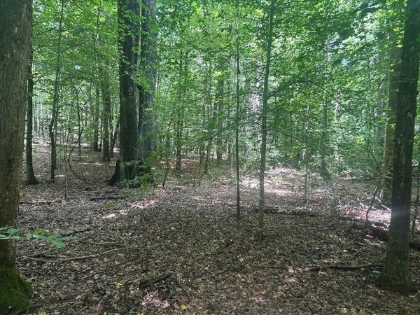 111 RiverSong (Tract 26) , Carrollton, GA 30117