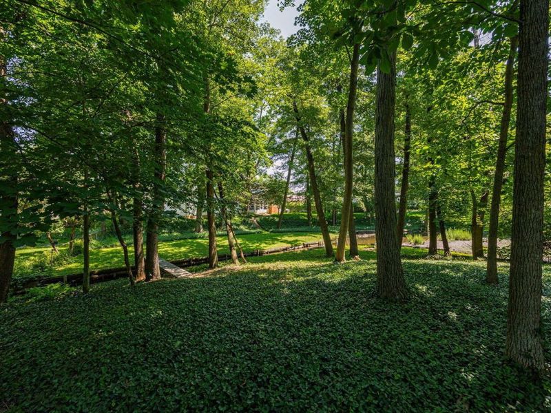 2871 E Shore Court, Columbus, OH 43231 Photo 79