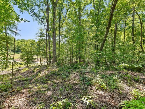 0 Maple Leaf Trail, Lookout Mountain, GA 30750