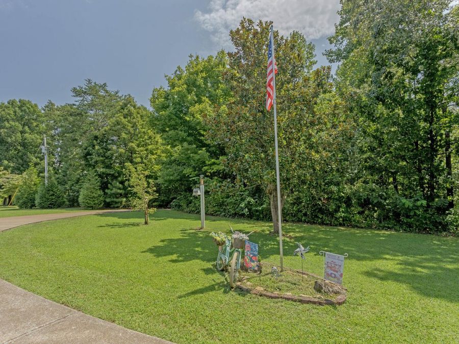 Property Image 45