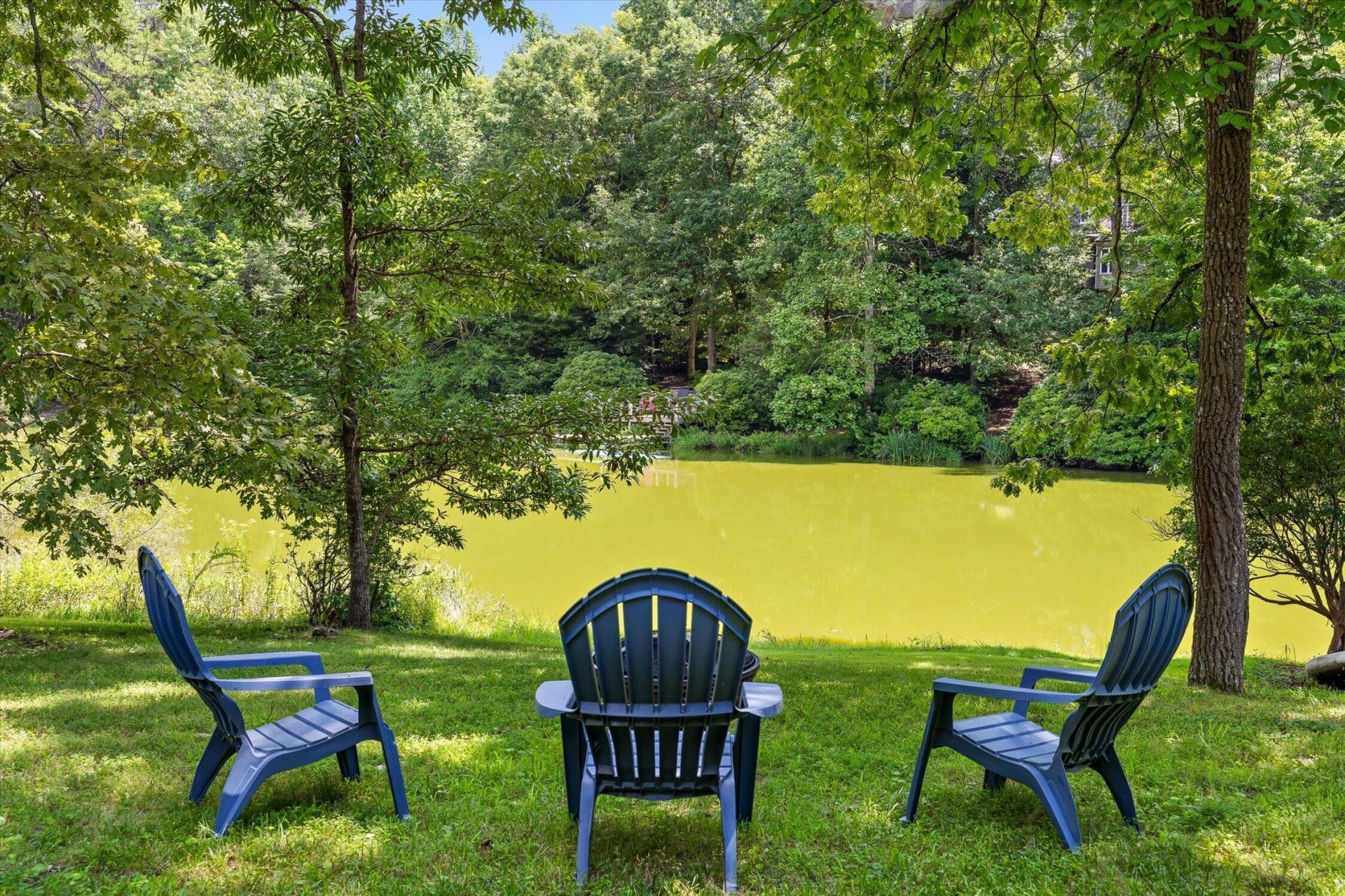 2558 Boston Branch Circle, Signal Mountain, TN 37377 Main Photo