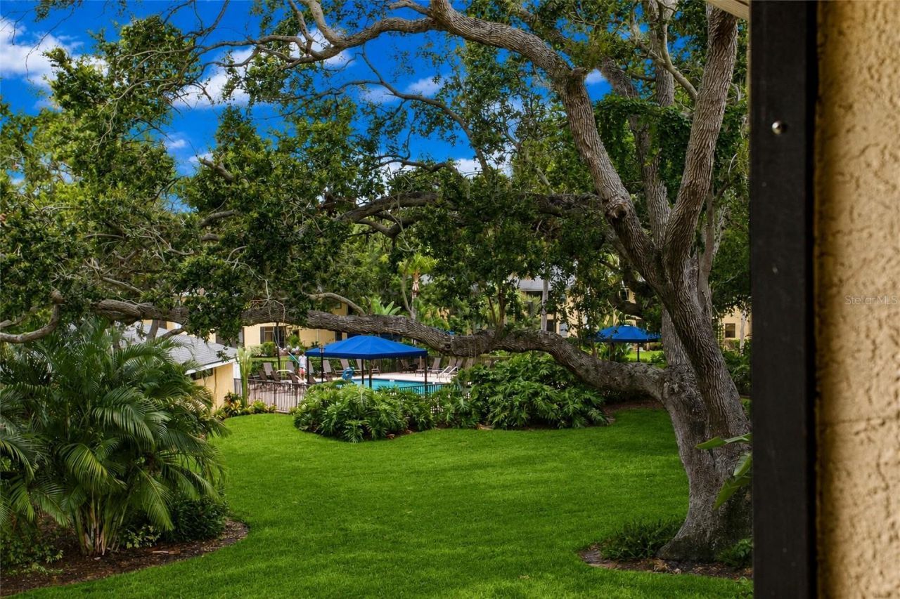 3001 58th Avenue S, Unit 1014, Saint Petersburg, FL 33712 Photo