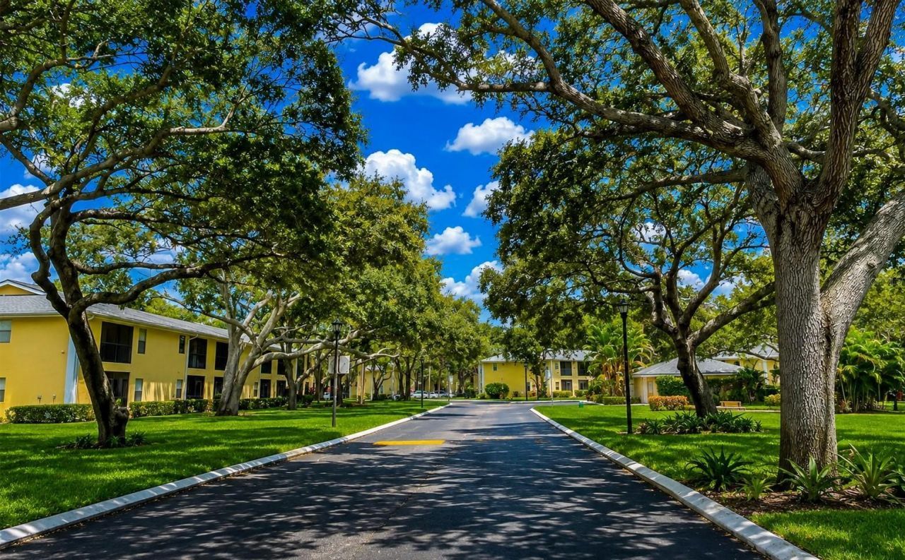 3001 58th Avenue S, Unit 1014, Saint Petersburg, FL 33712 Photo