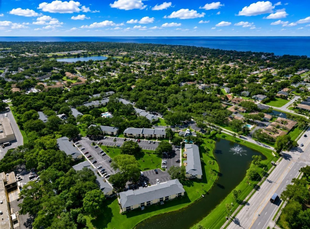3001 58th Avenue S, Unit 1014, Saint Petersburg, FL 33712 Photo