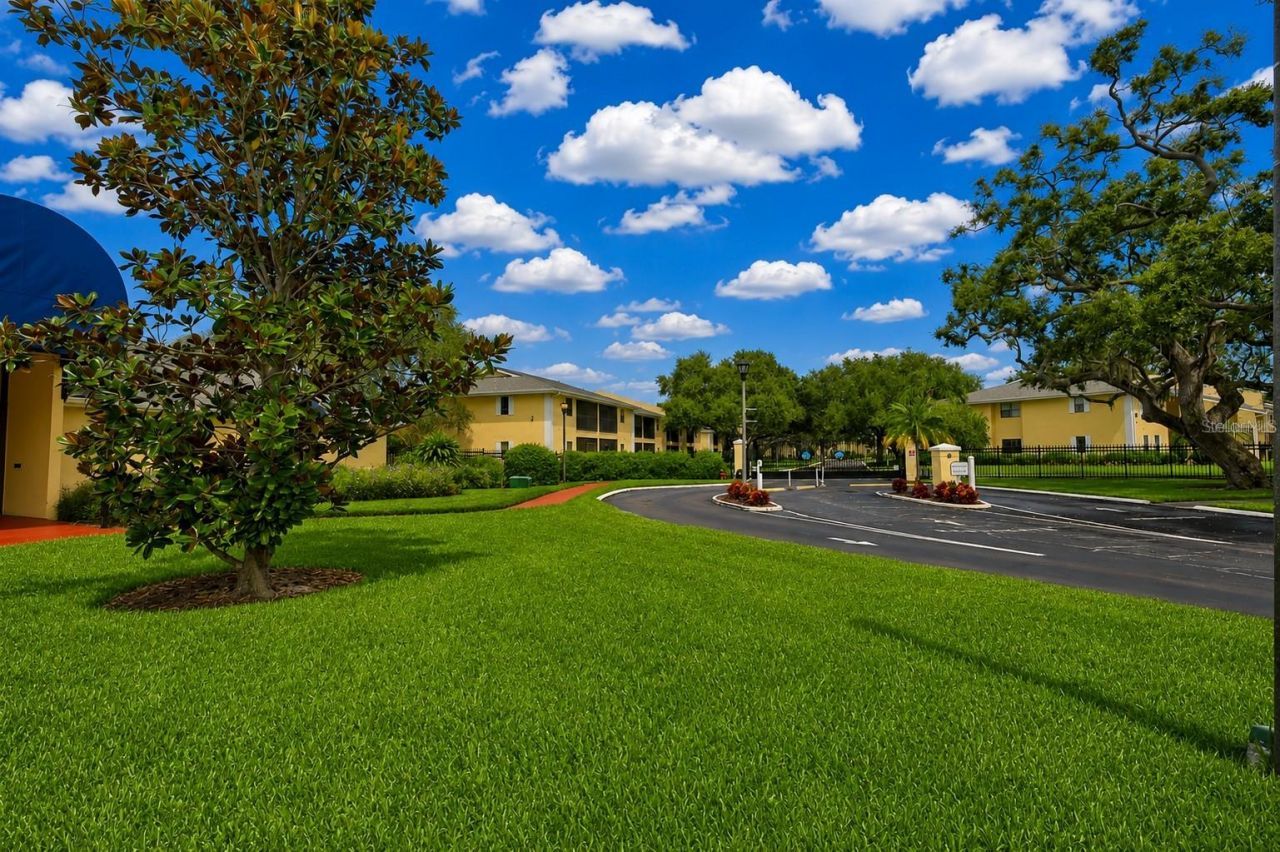 3001 58th Avenue S, Unit 1014, Saint Petersburg, FL 33712 Photo