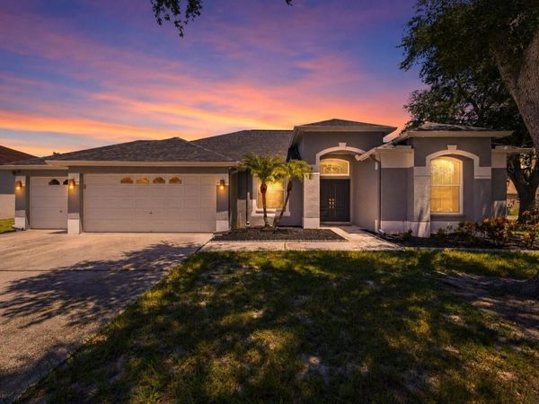 12020 RUNNING FOX CIRCLE, RIVERVIEW, FL 33569